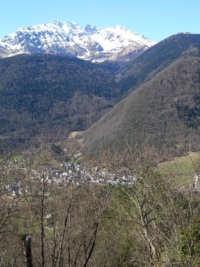 Appartement 2 A 4 Personnes Le Pyreneen A Arreau Carrefour Des Activites De Montagne Exteriér fotografie