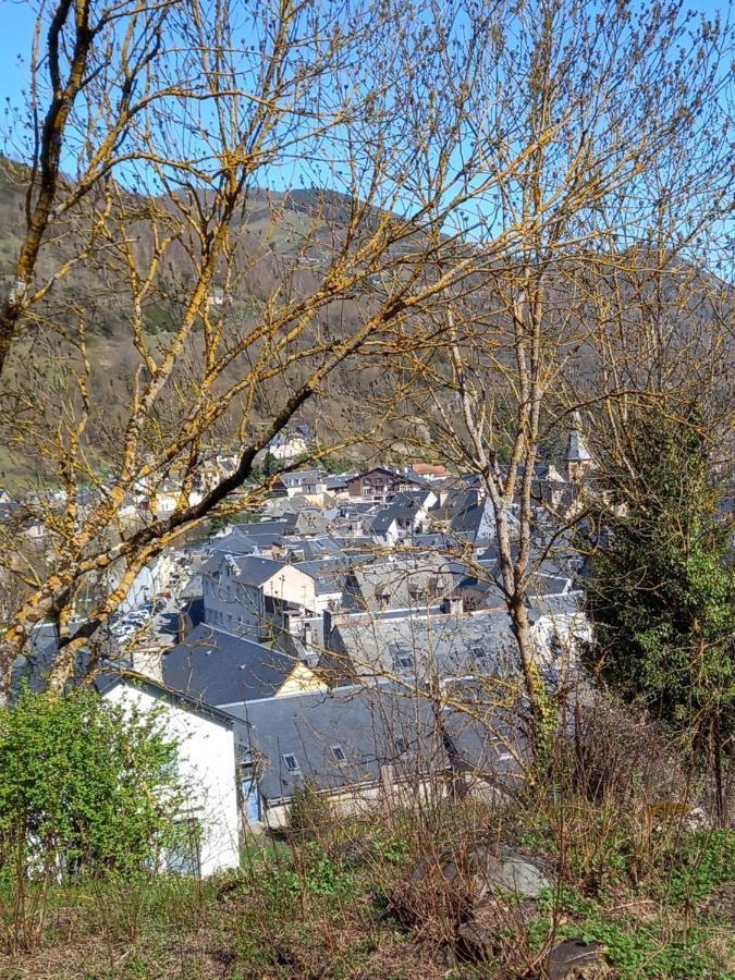 Appartement 2 A 4 Personnes Le Pyreneen A Arreau Carrefour Des Activites De Montagne Exteriér fotografie